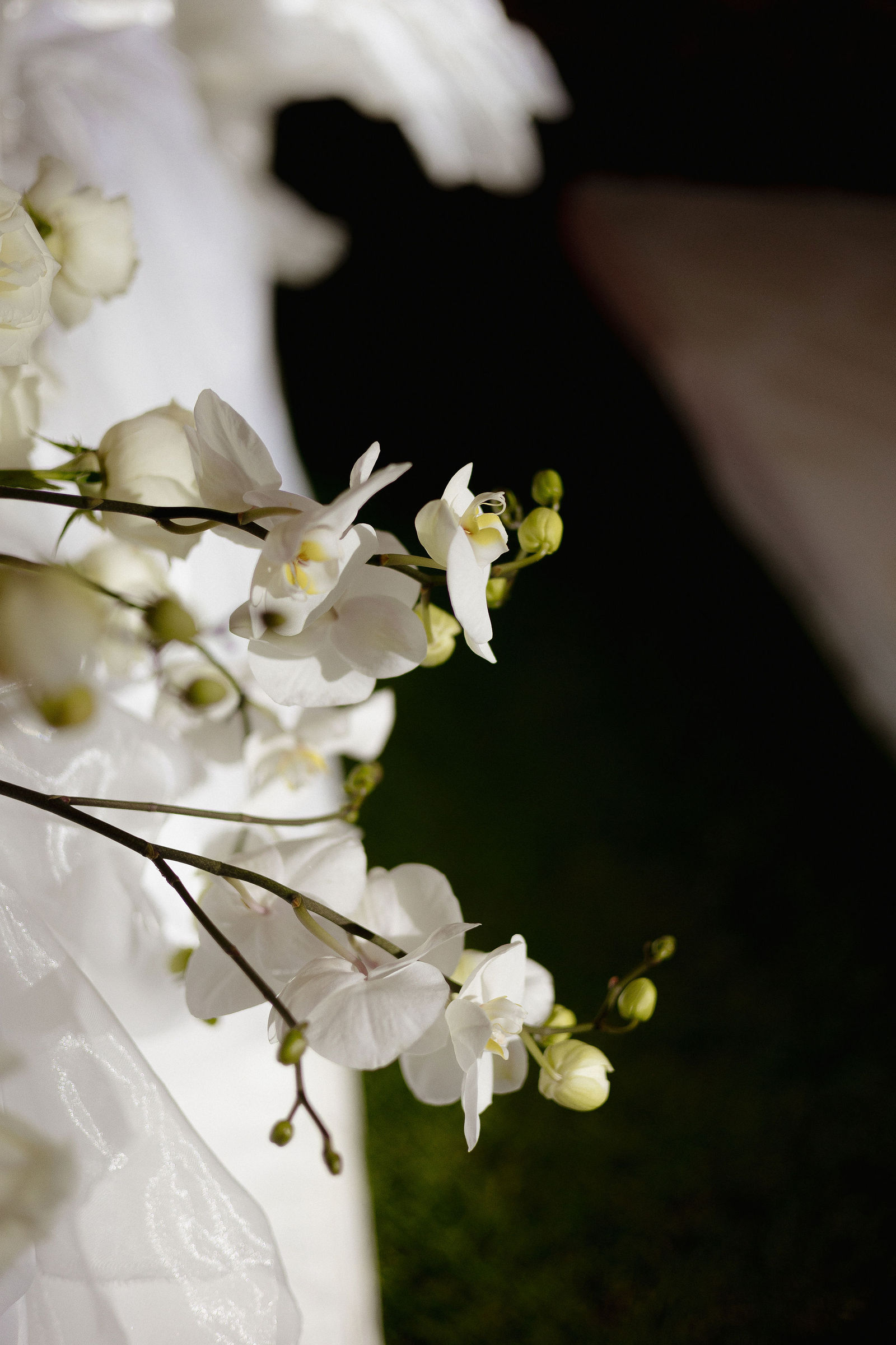 Boda de Septiembre — 06 de septiembre